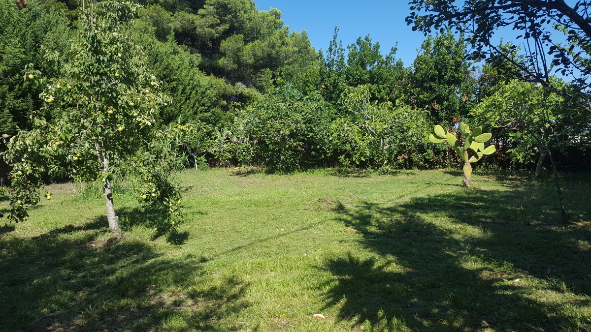 Villetta Iaculizzi 