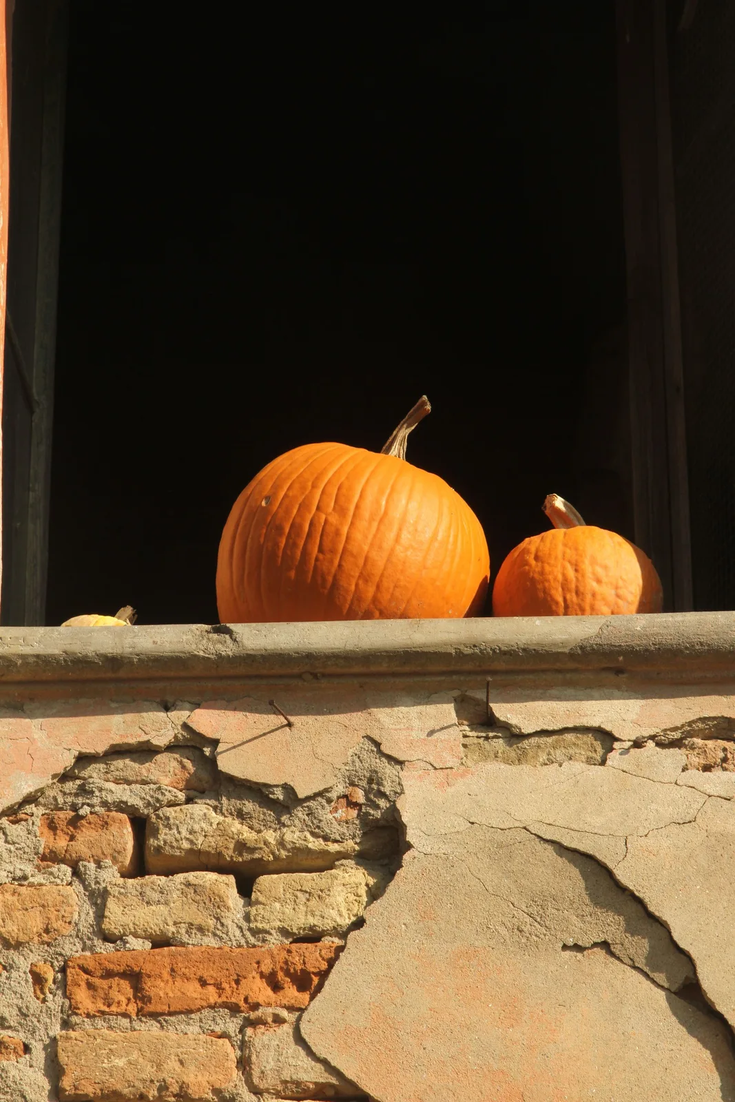 Locandina Sagra della Zucca