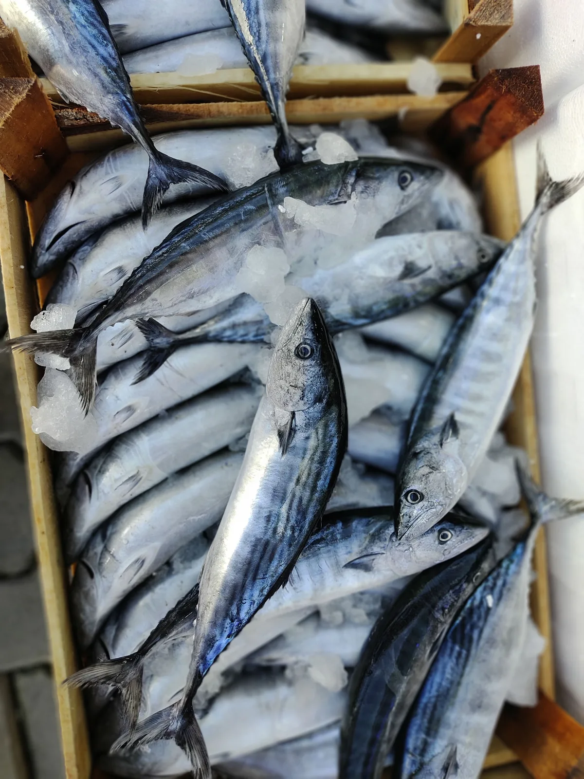 Locandina Sagra del pesce sfilettato a Sant'Arcangelo (Potenza)