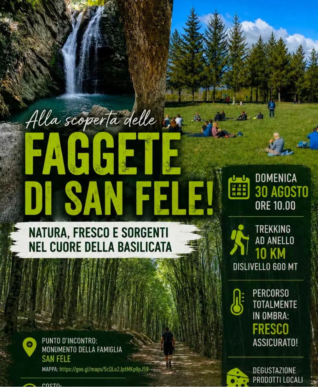 Locandina Alla scoperta delle Faggete di San Fele 2026 a San Fele (Potenza)