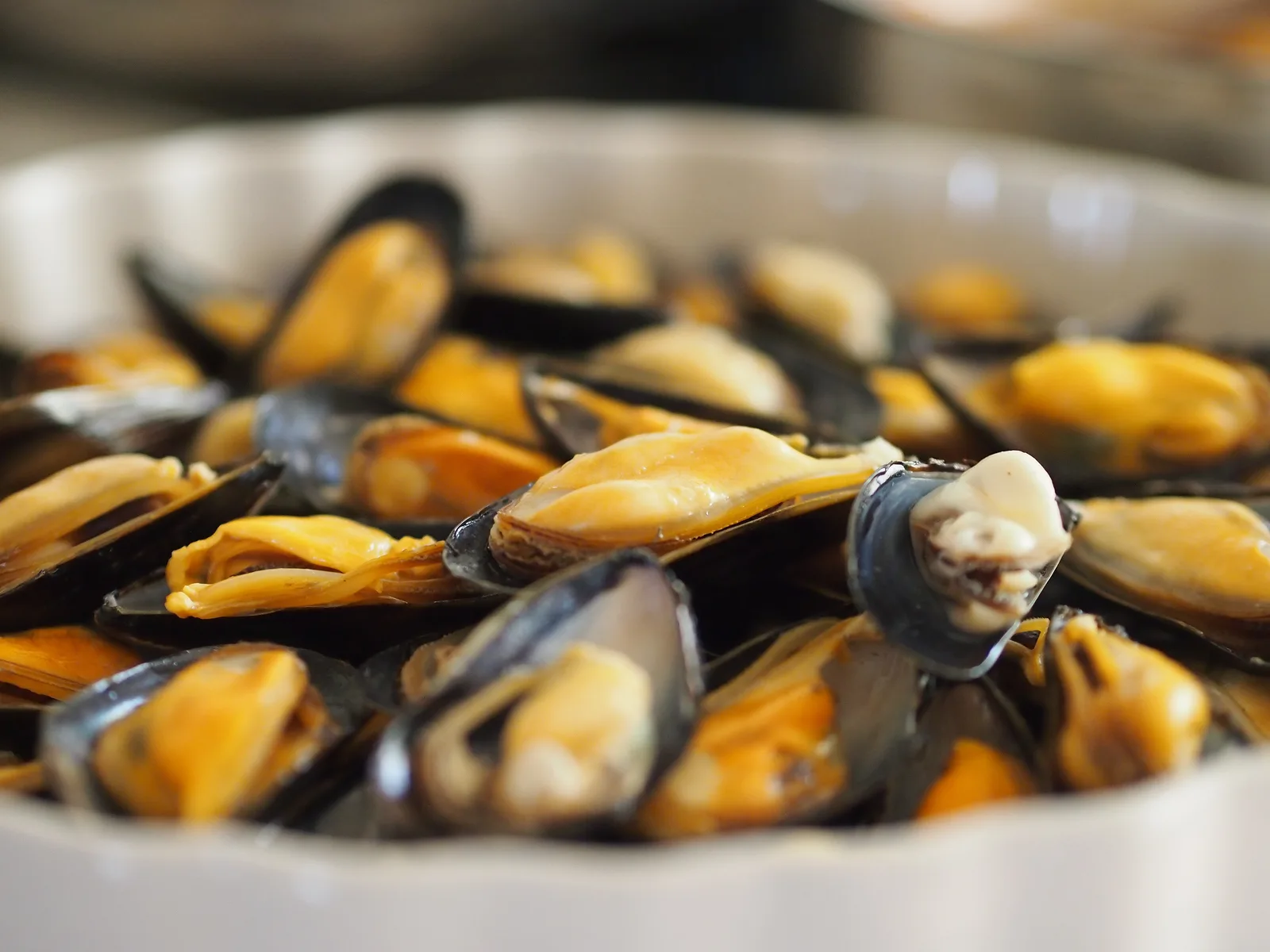 Locandina Festa Cozze e Pecorino a Fiumicino (Roma)