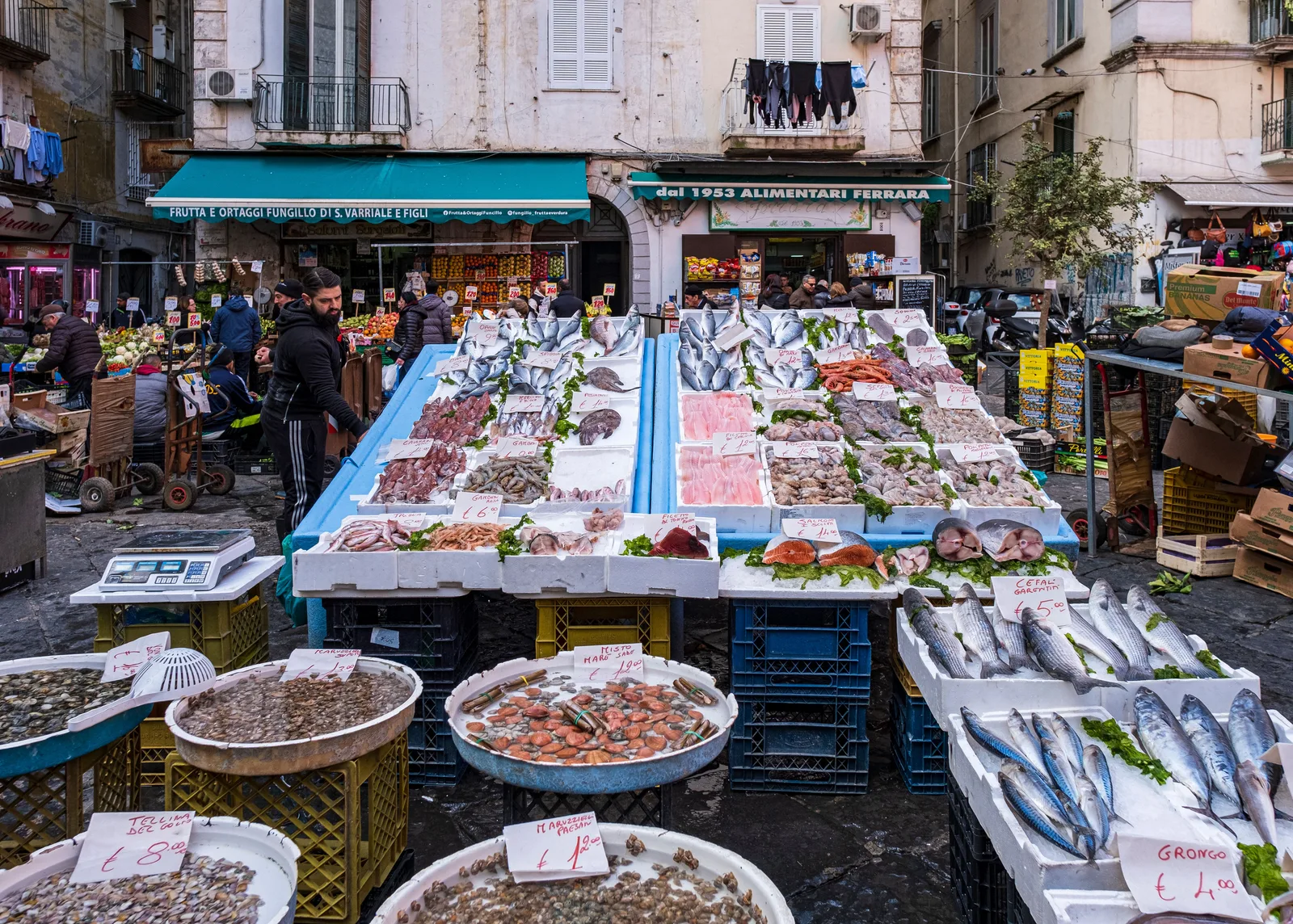 Locandina Festa del vino e del pesce a Monfalcone (Gorizia)