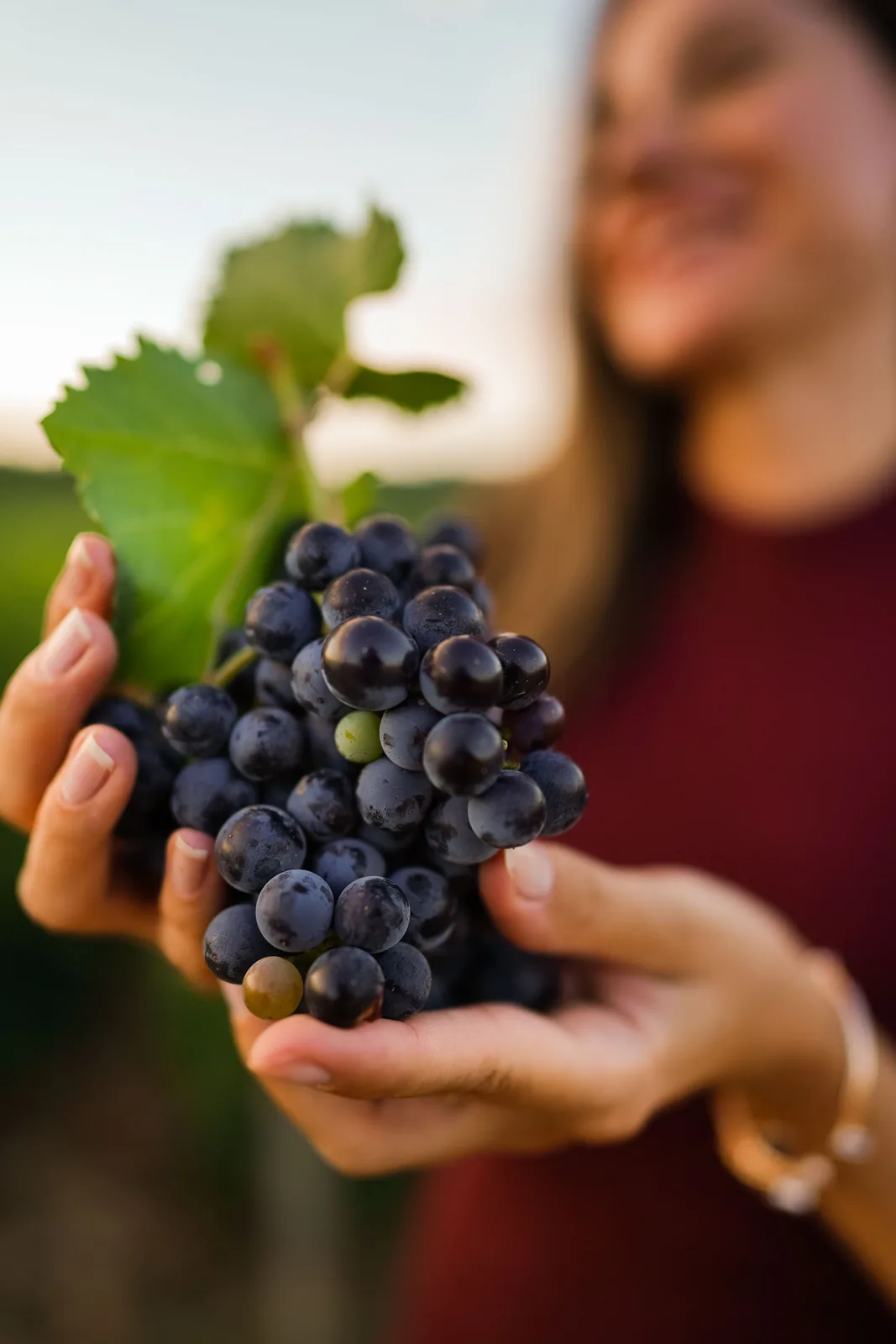 Locandina 63ª Sagra dell'Uva e del Vino dei Colli Ceriti 2026 a Cerveteri (Roma)