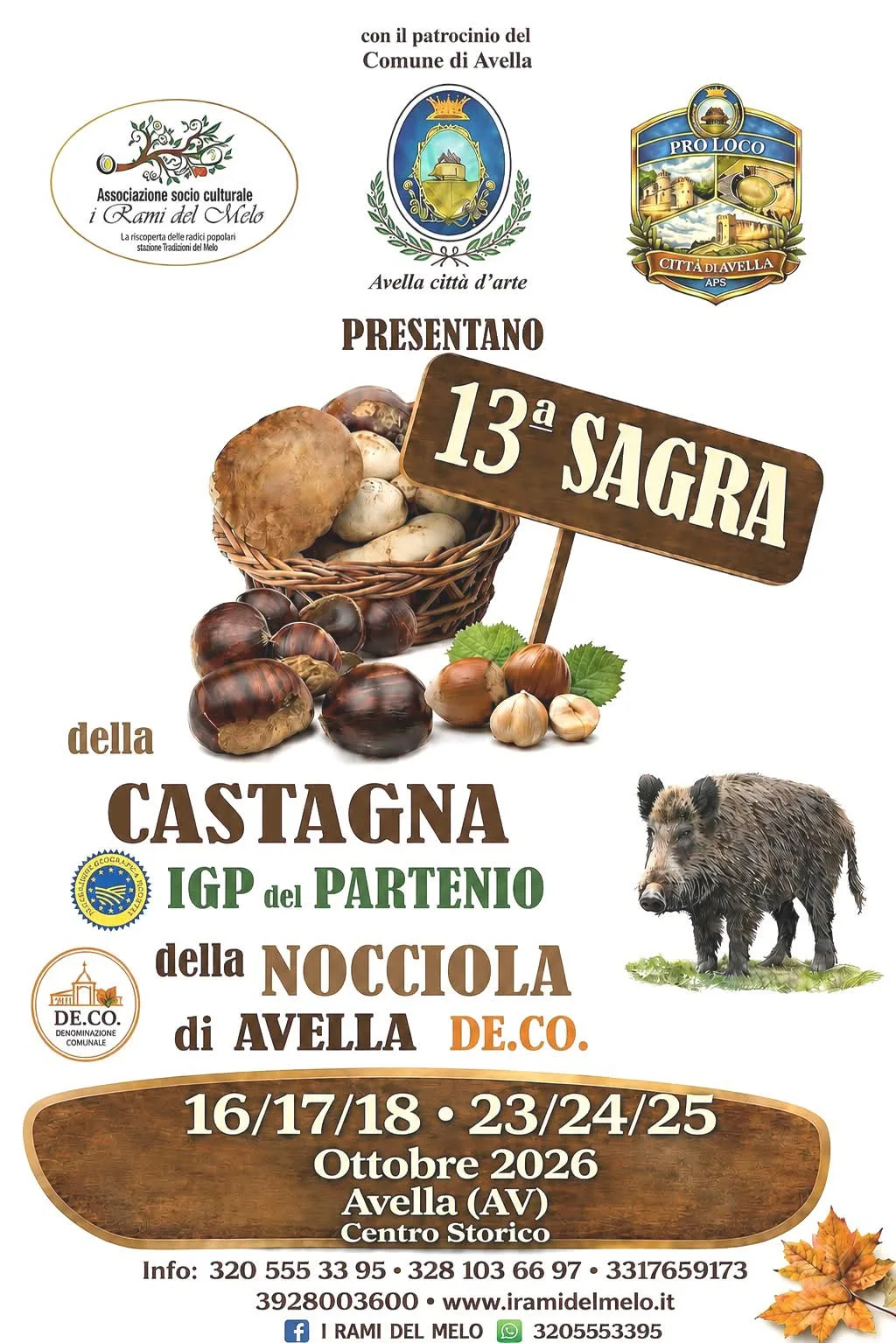 Locandina 13ª Sagra della Castagna IGP del Partenio e della Nocciola 2 a Avella (Avellino)