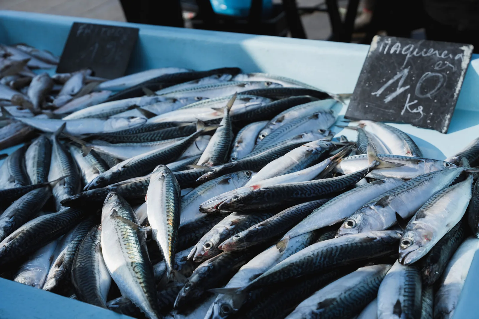 Locandina Festival del pesce azzurro a Pachino (Siracusa)