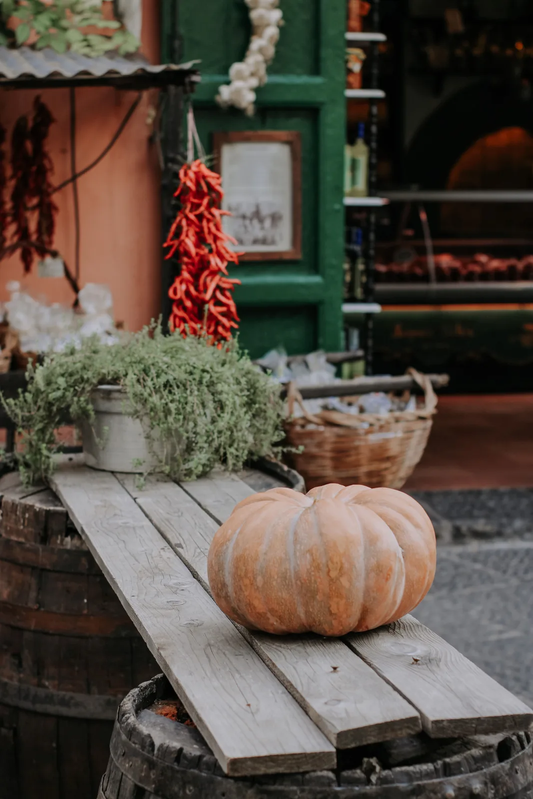Locandina Sagra del fiore di zucca a Perugia (Perugia)