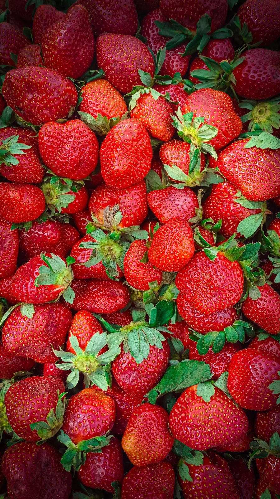 Locandina Sagra delle Fragole e dei Lamponi a Attimis (Udine)