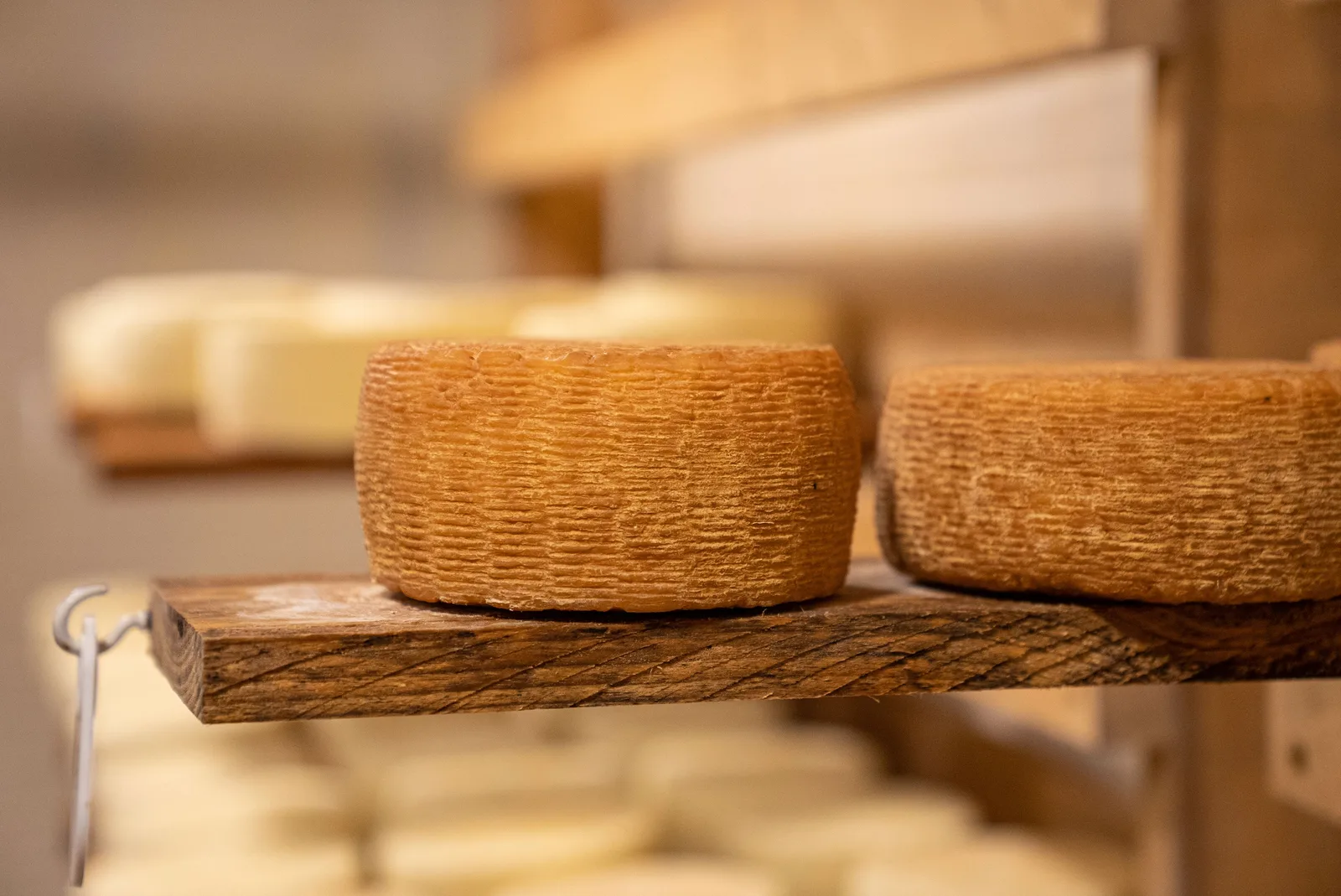 Locandina Sagra del formaggio pecorino a Bugnara (L'aquila)