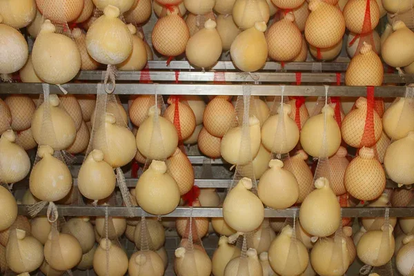 Locandina Sagra del Caciocavallo a Castelfranco in Miscano (Benevento)