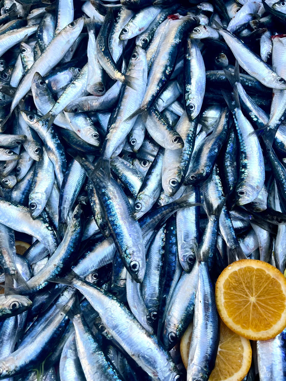 Locandina Sagra del pesce spada a Aci Castello (Catania)