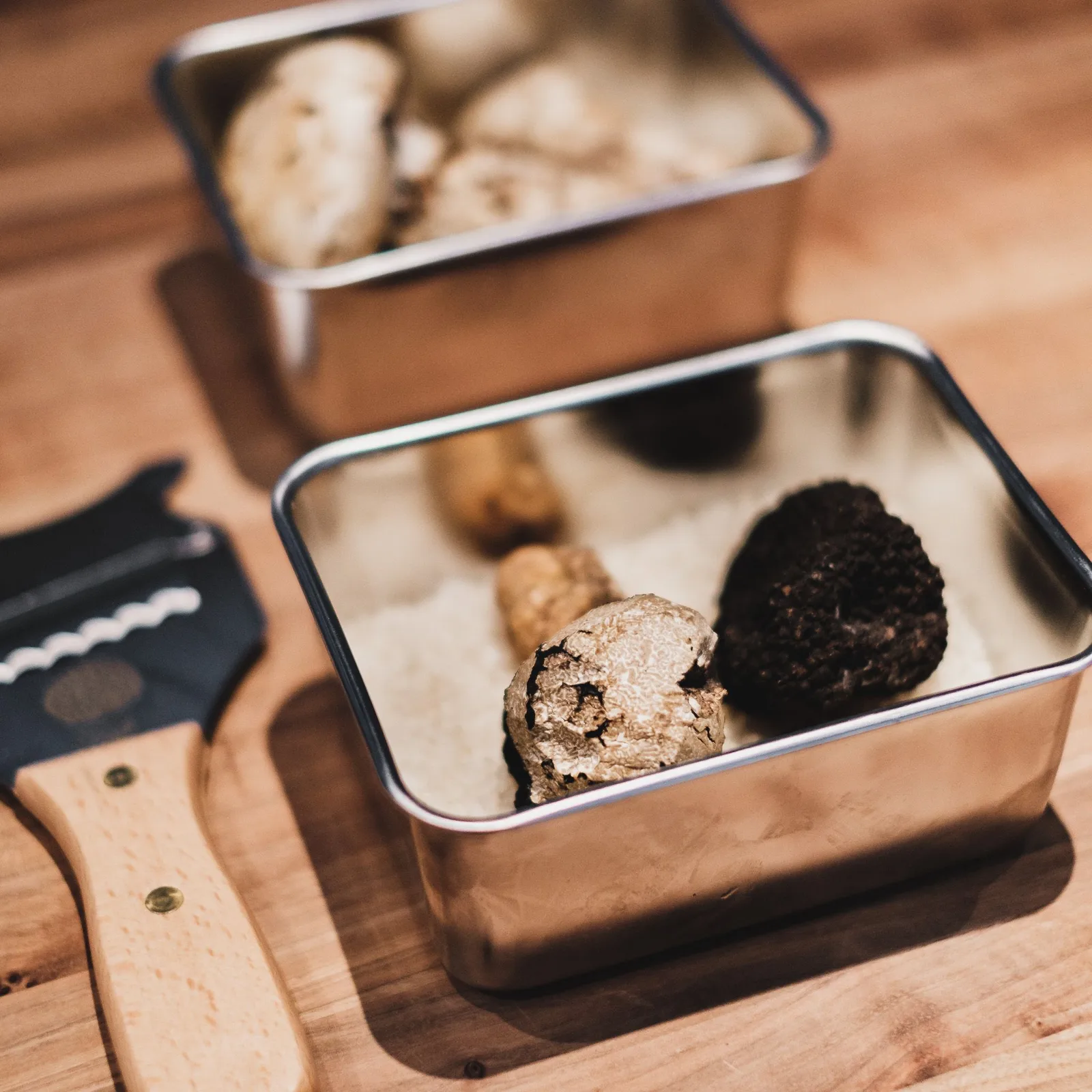 Locandina Sagra del tartufo a Campli (Teramo)
