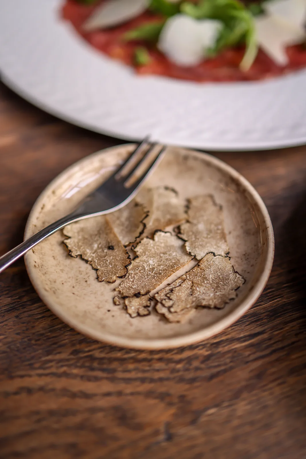 Locandina Festa del tartufo a Campoli Appennino (Frosinone)