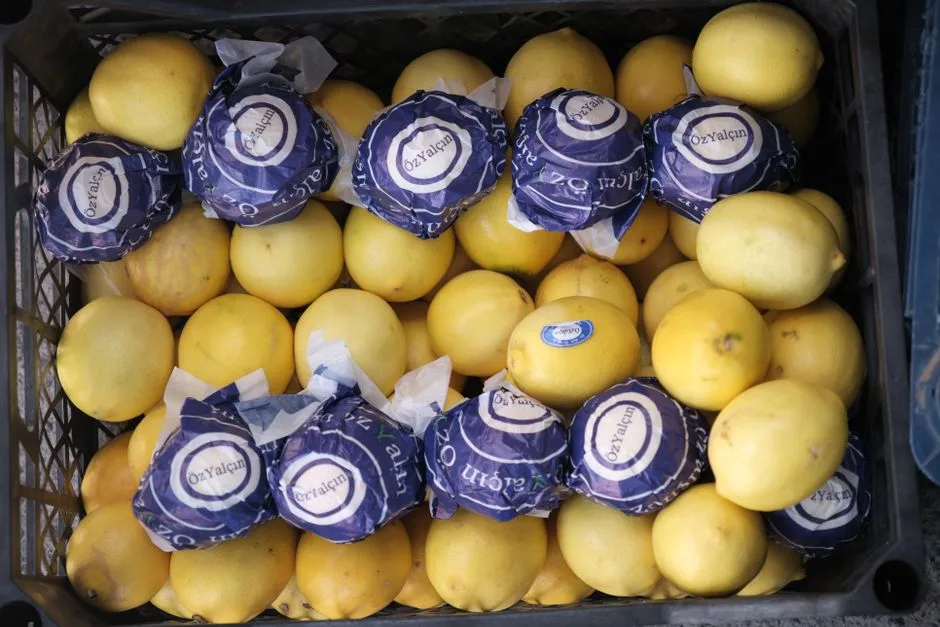 Locandina Limoni in festa a Massa Lubrense (Napoli)