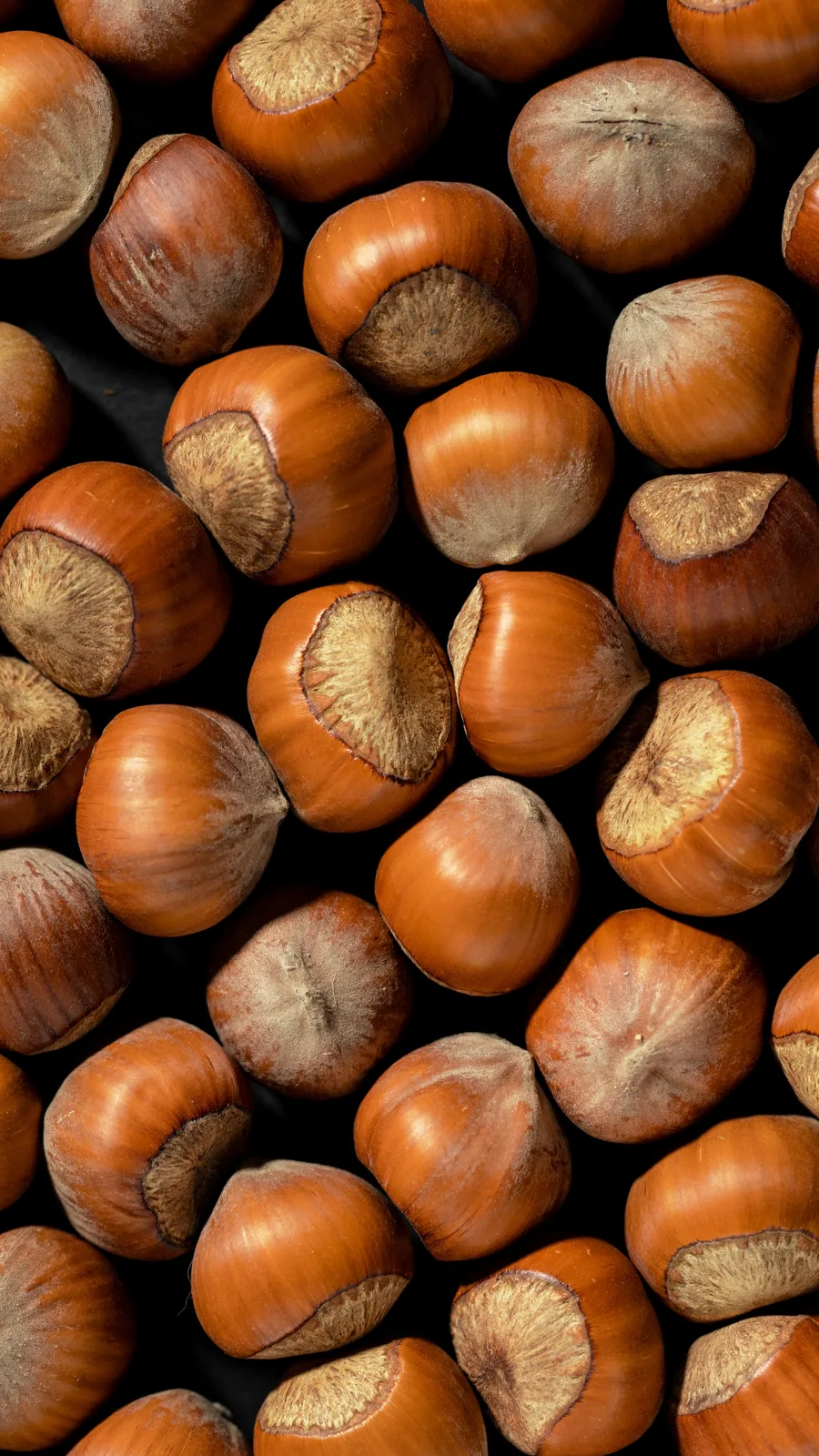 Locandina Sagra della nocciola a Giffoni Valle Piana (Salerno)