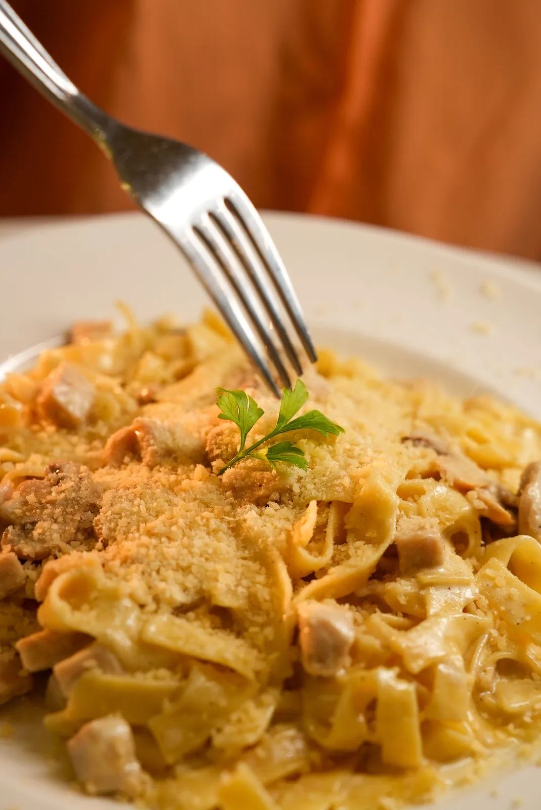 Locandina Sagra della lasagna a Civita (Cosenza)