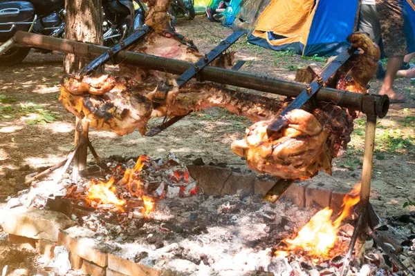 Locandina Valzer delle tagliatelle al cinghiale a Monticiano (Siena)