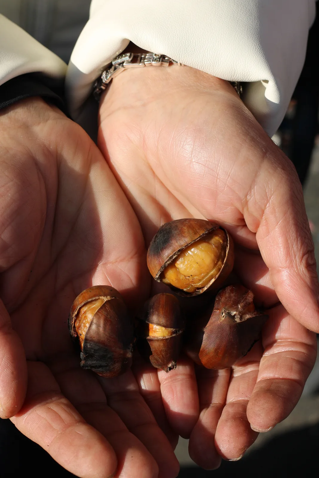 Locandina Sagra della castagna a Trecchina (Potenza)