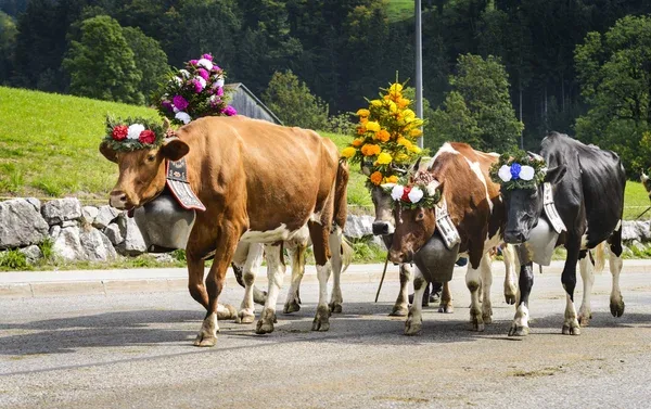 Locandina Festa delle Cucine Monferrine a Moncalvo (Asti)
