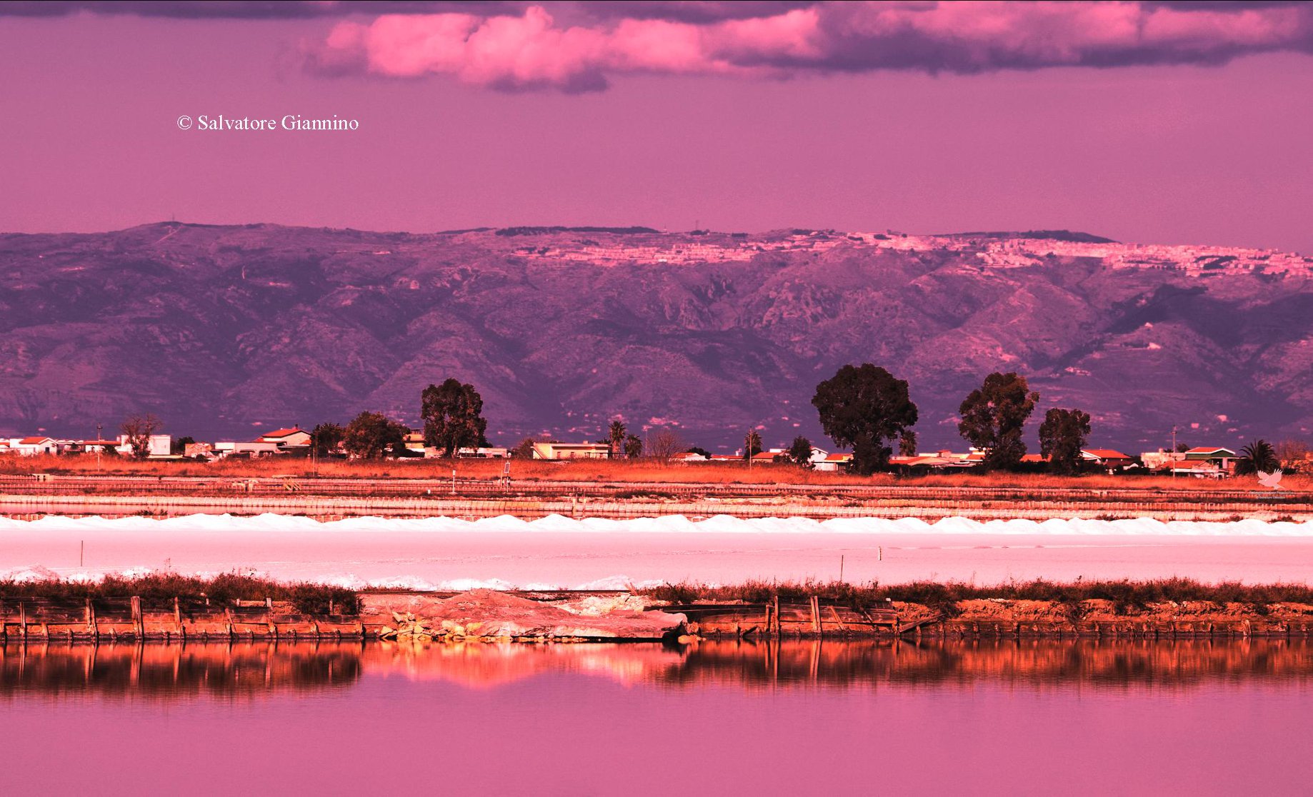 Riserva naturale delle Saline