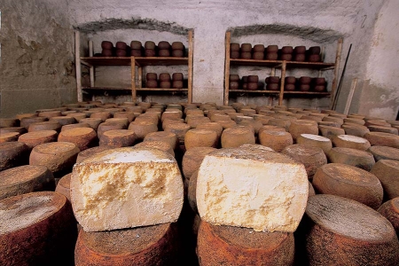Museo del Fiore Sardo
