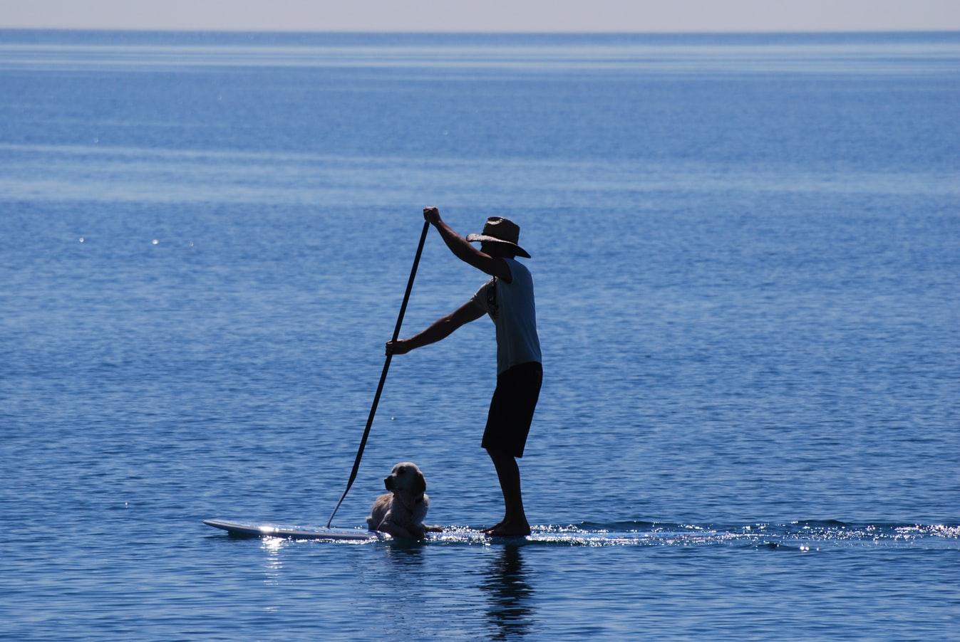 SUP - Stand Up Paddle - presso il Lago di Vico