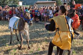 Palio degli asini