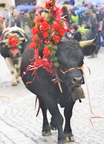 Locandina Devétéya di Cogne - Festa della transumanza a Cogne (Valle d'aosta)