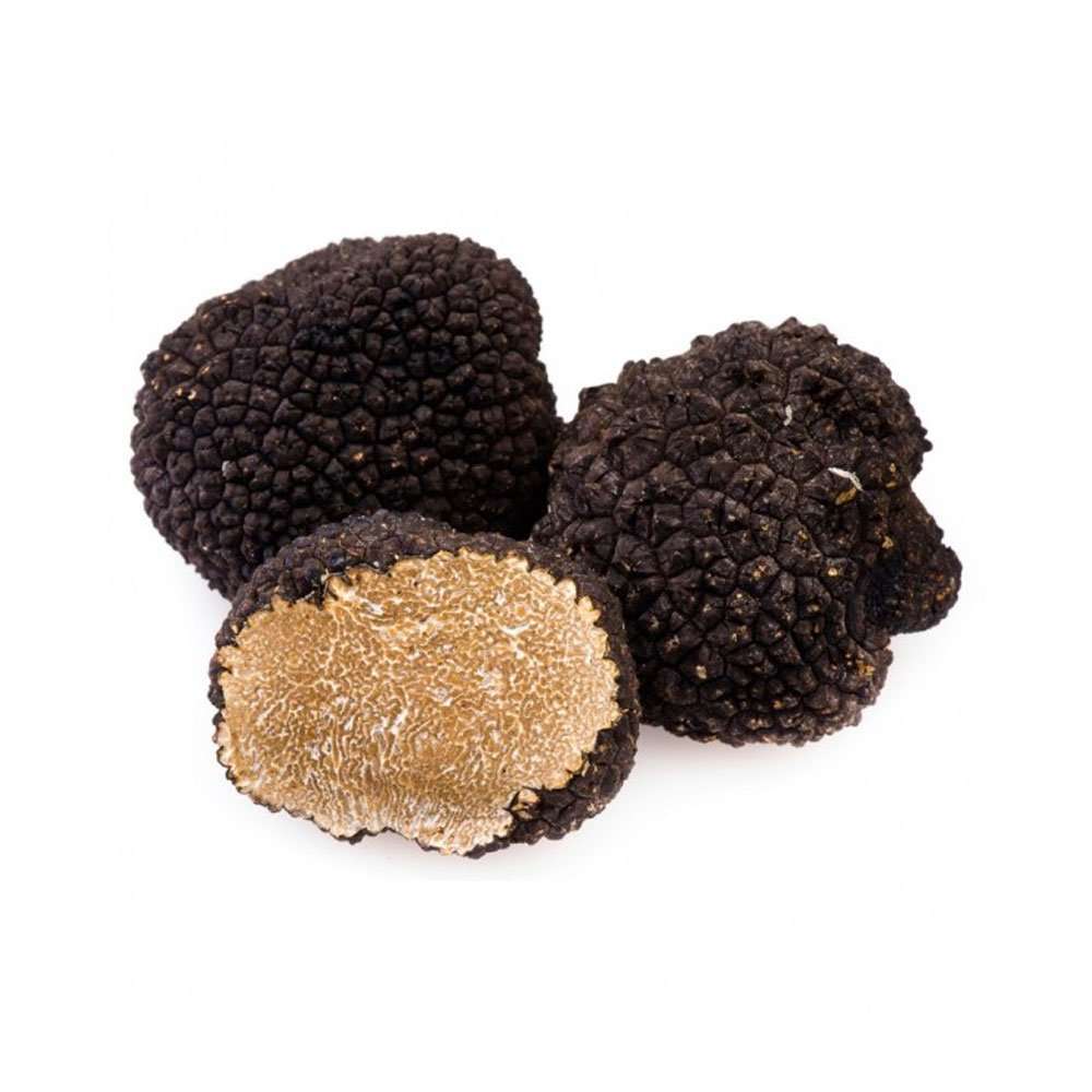 Tartufo Nero Estivo Fresco - 500-g