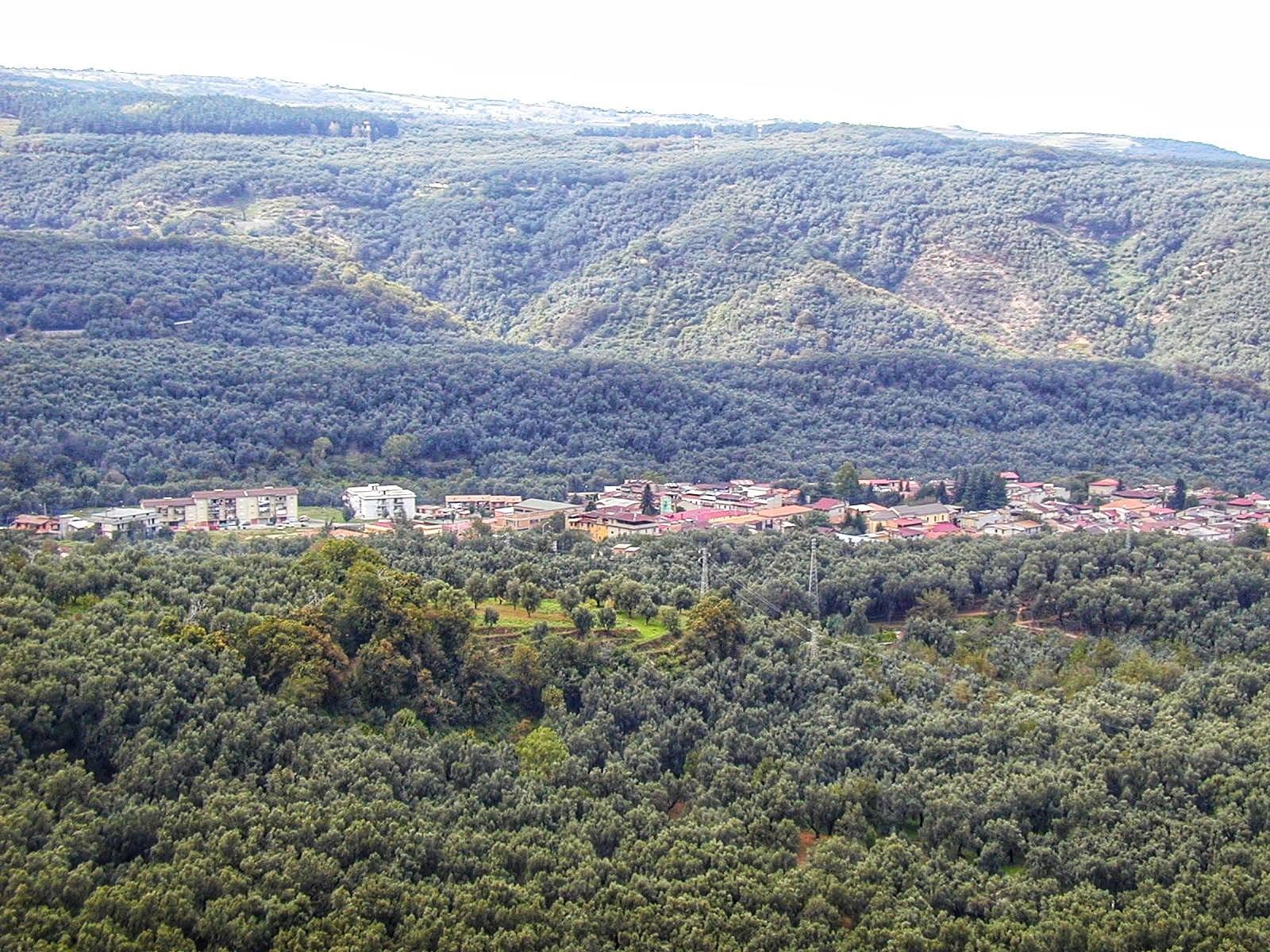 Scido (RC)