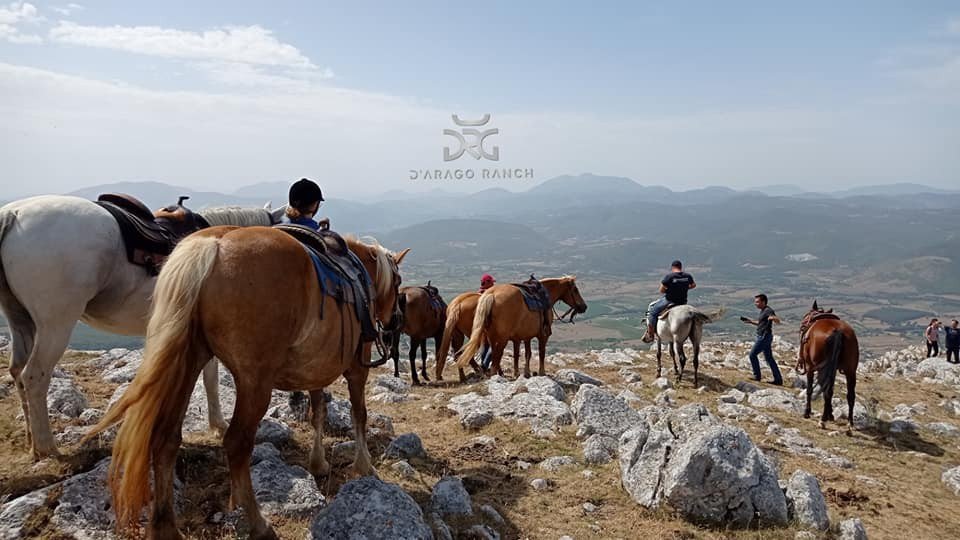 D'Arago Ranch