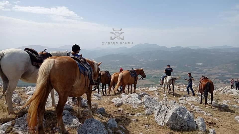 D'Arago Ranch