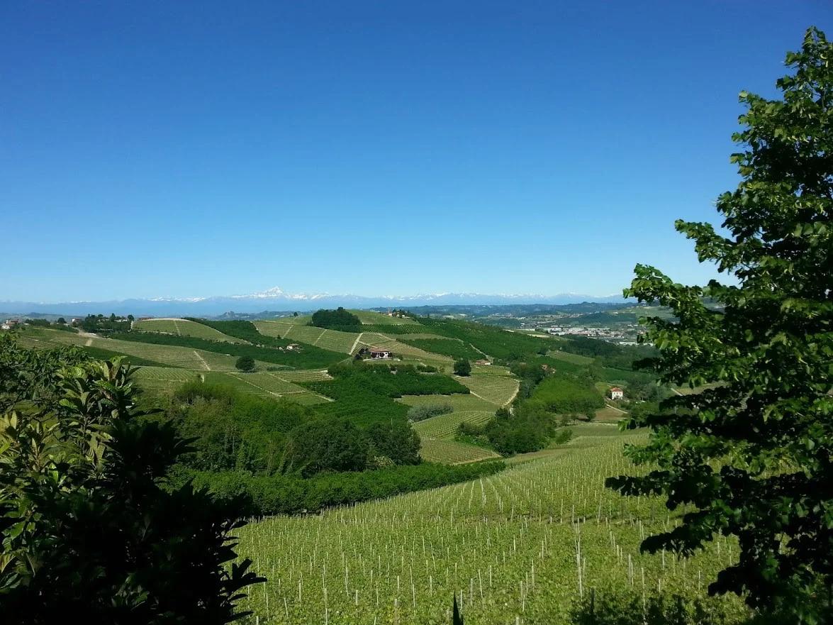 Ca Trifolera Barbaresco Agriturismo b&b pernottamenti