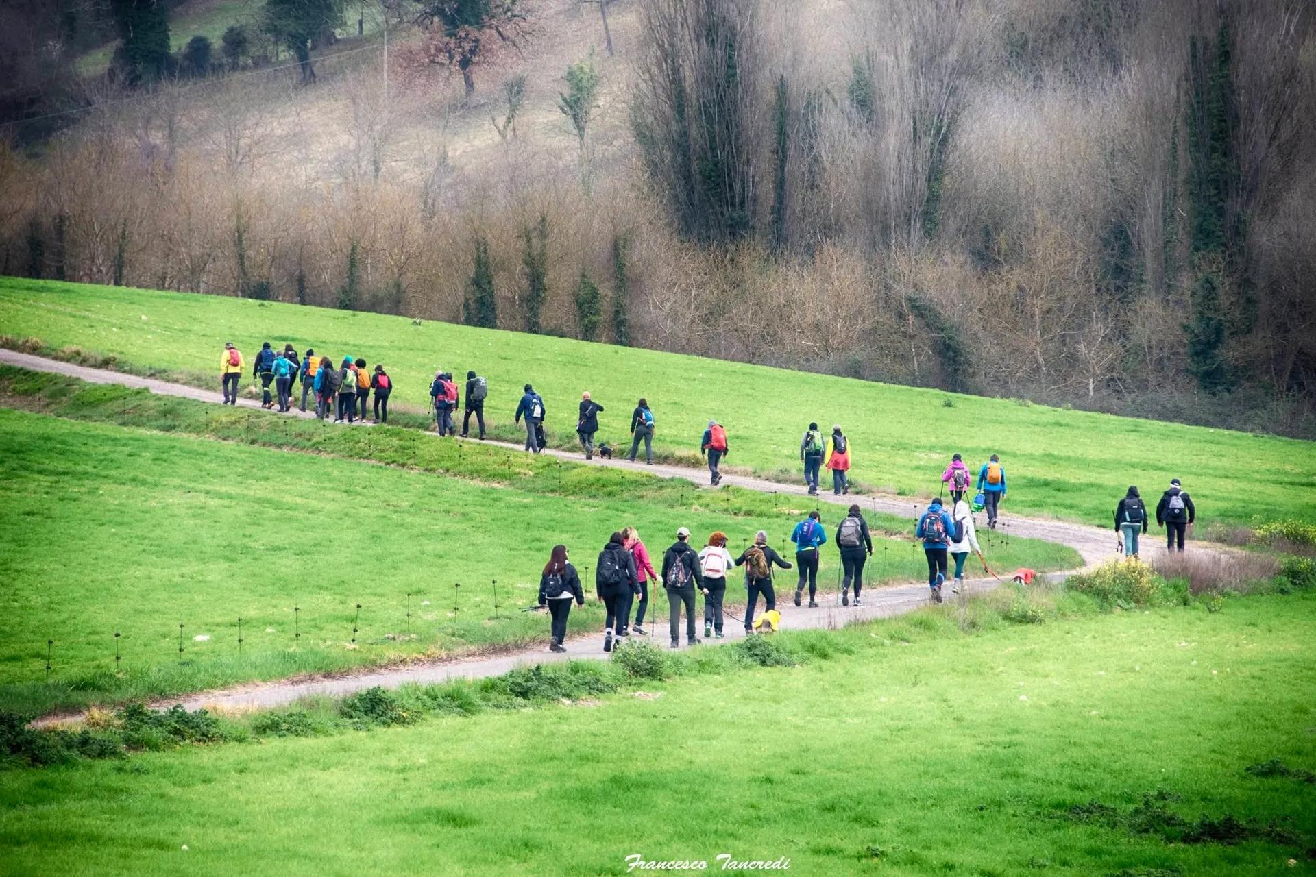 Lungo gruppo di camminatori su un sentiero che attraversa un prato verde in collina