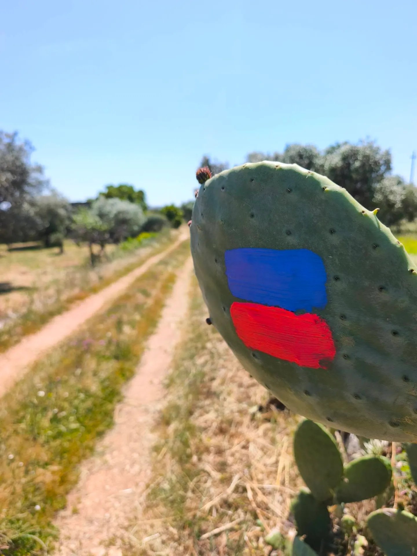 La Rotta dei Due Mari