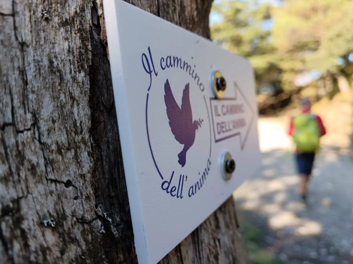 Cammino dell'Anima