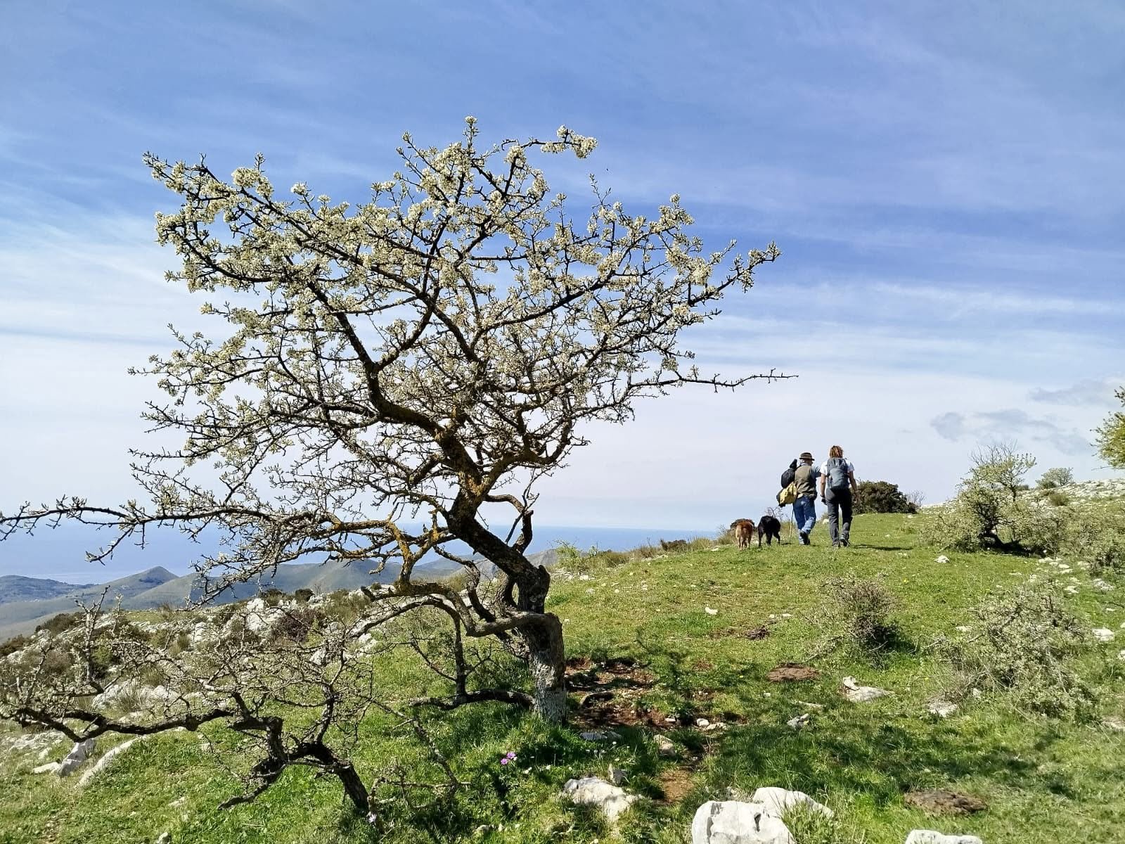 Acquaviva (Formia) - Madonna della Civita (Itri)