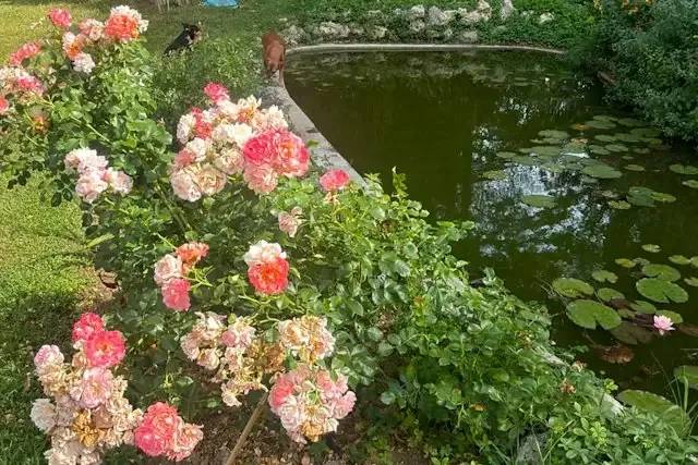 Villa Cosmelli Marotti – foto © FAI – Fondo Ambiente Italiano