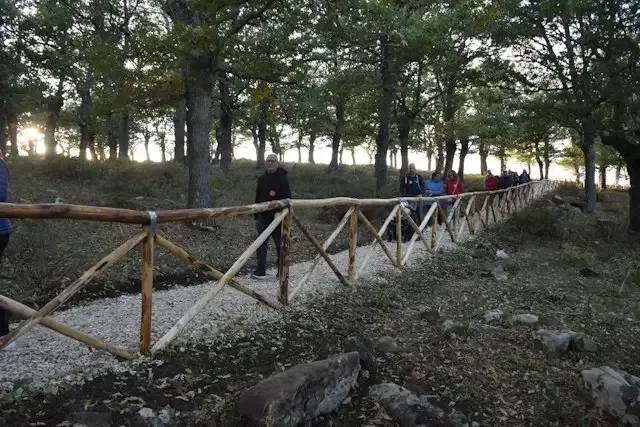 Bosco Guardiola – foto © FAI – Fondo Ambiente Italiano