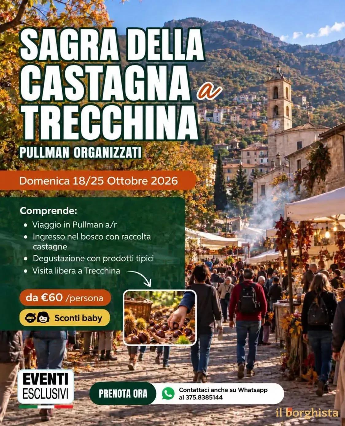 Locandina Sagra della Castagna a Trecchina 2026 a Trecchina (Potenza)
