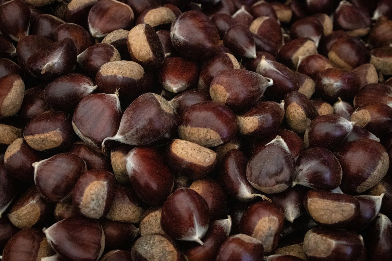 Locandina Fiera delle Castagne della Valmarecchia a Talamello (Rimini)