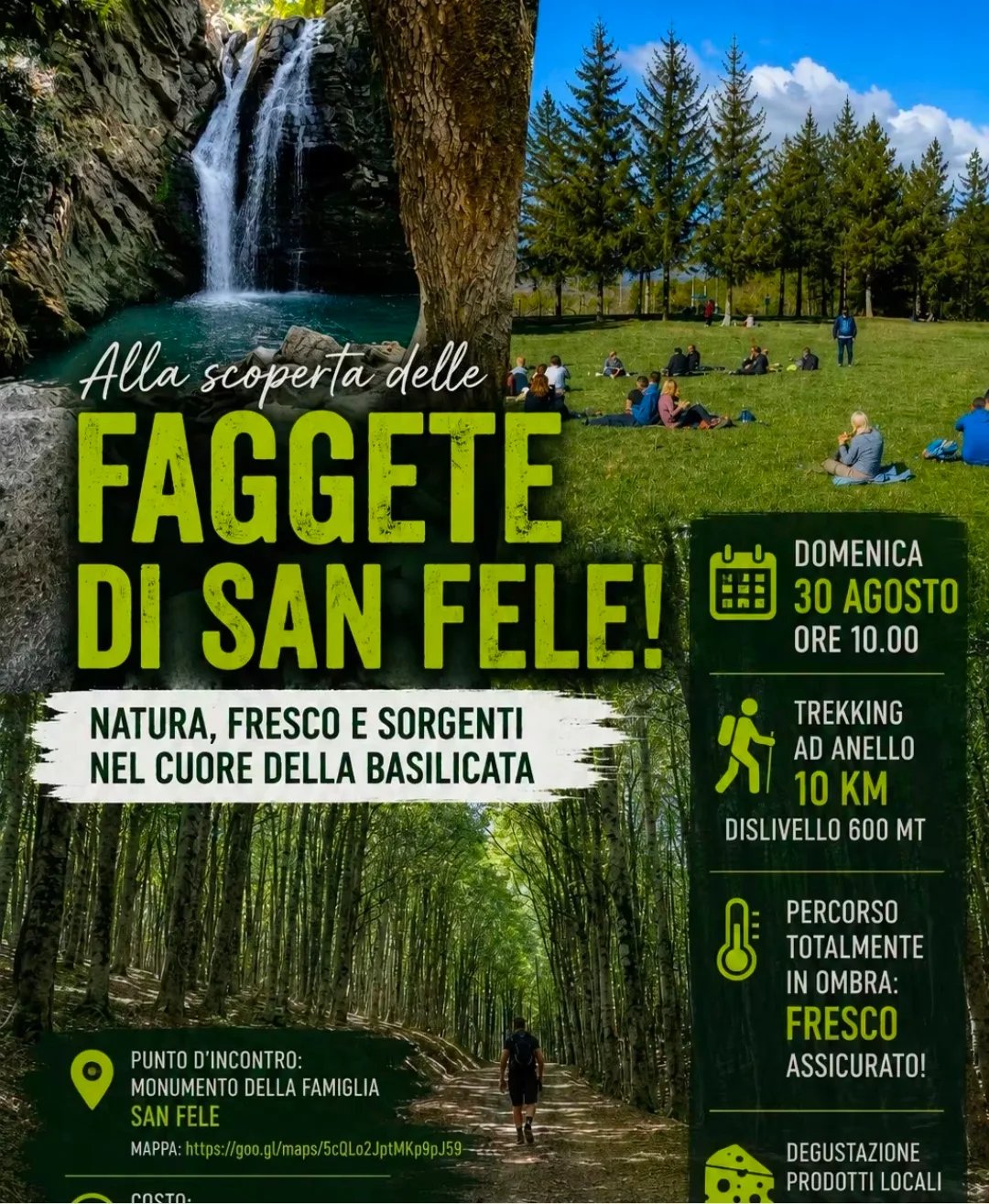 Locandina Alla scoperta delle Faggete di San Fele 2026 a San Fele (Potenza)