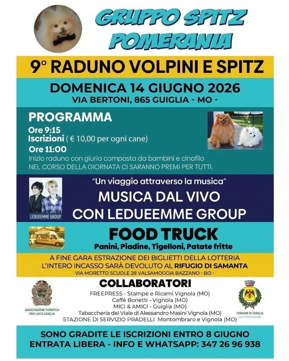 Locandina 9° Raduno Volpini e Spitz 2026 a Guiglia (Modena)