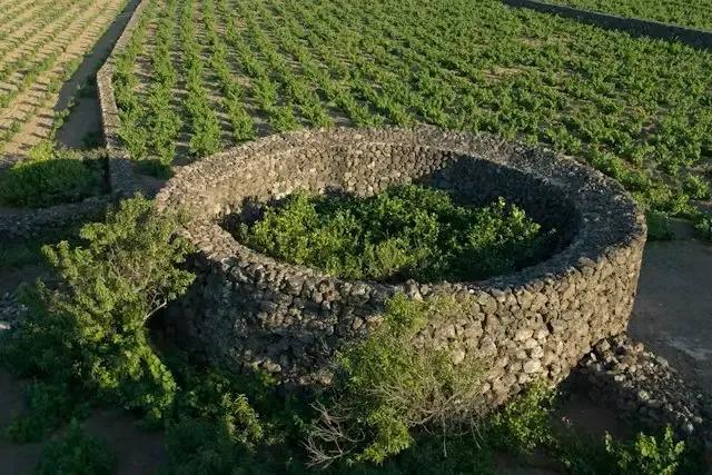 Giardino Pantesco Donnafugata – foto © FAI – Fondo Ambiente Italiano