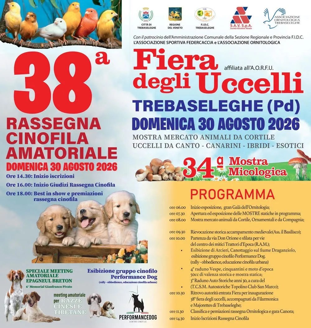 Locandina 38ª Rassegna Cinofila Amatoriale a Trebaseleghe (Padova)