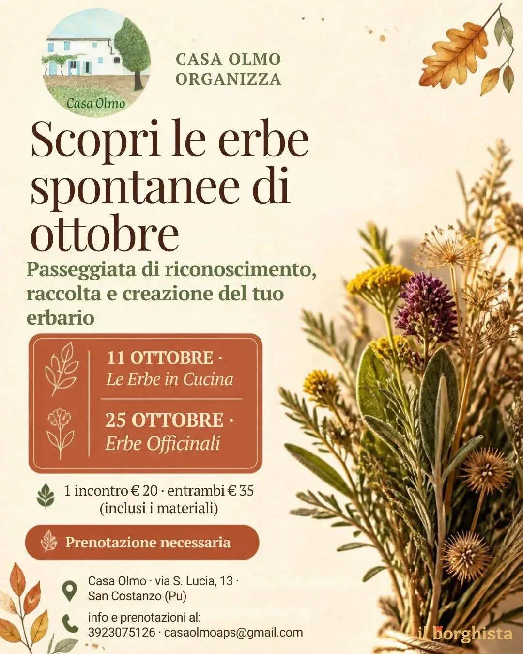 Locandina Scopri le erbe spontanee di ottobre 2026 a San Costanzo (Pesaro e Urbino)