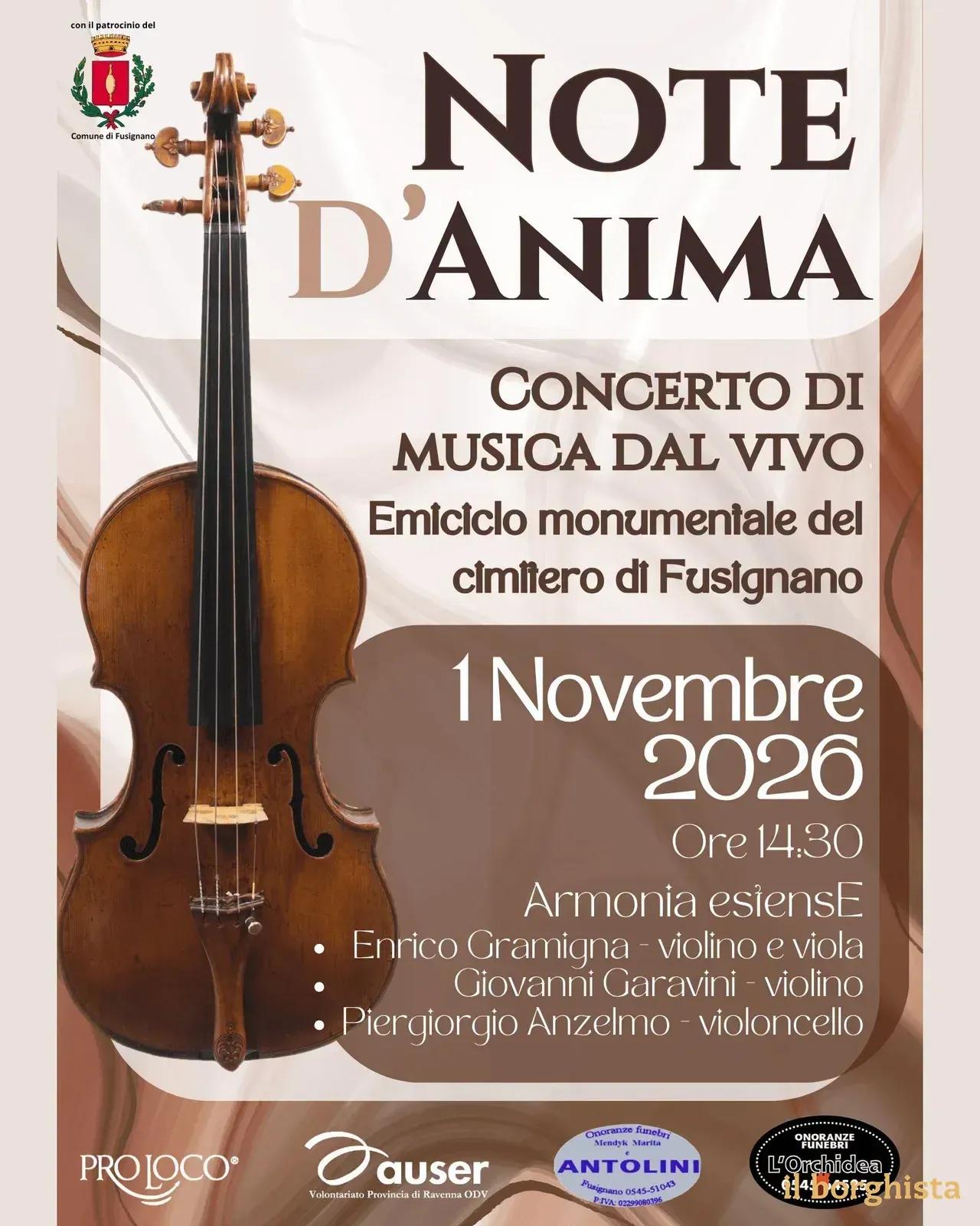Locandina Note d'Anima Concerto di Musica dal Vivo 2026 a Fusignano (Ravenna)