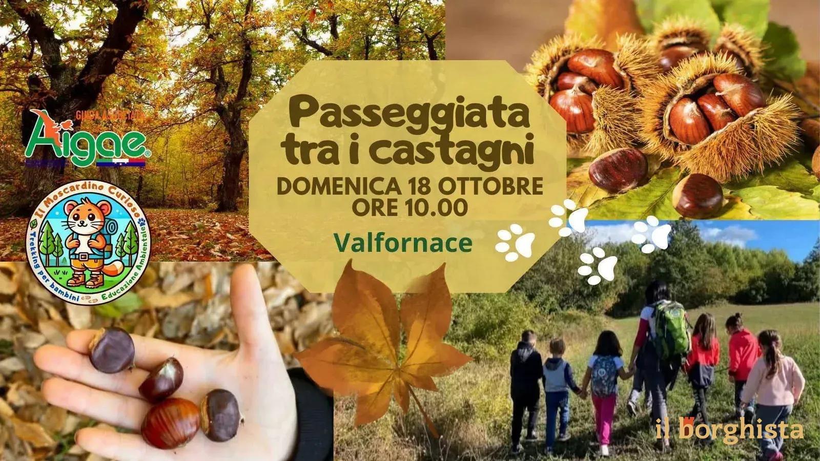 Locandina Passeggiata tra i castagni 2026 a Valfornace (Macerata)