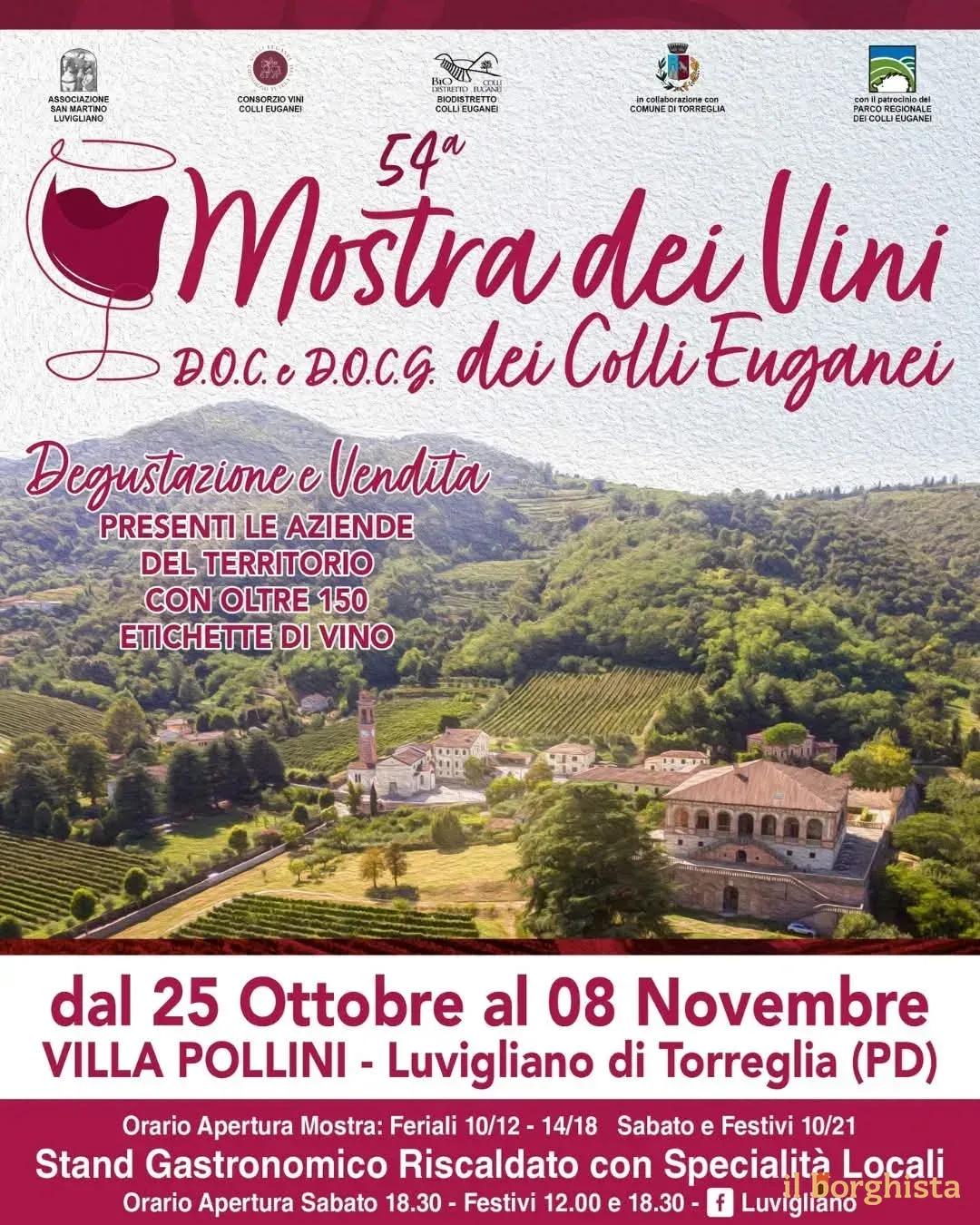 Locandina Mostra dei Vini DOC e DOCG dei Colli Euganei 2026 a Torreglia (Padova)