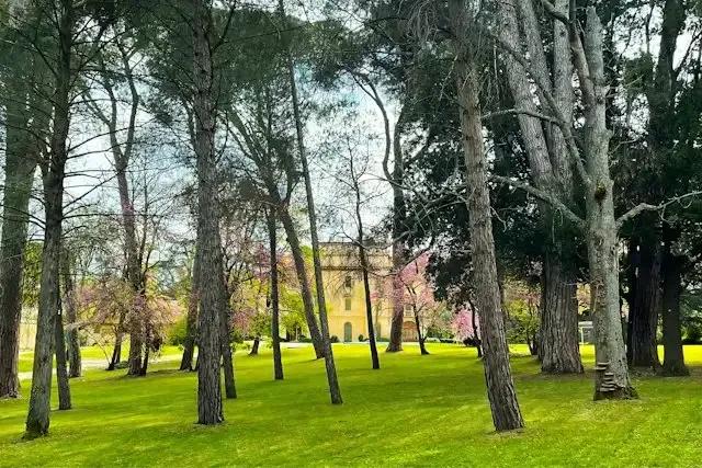 Villa Fontedamo e il Suo Parco – foto © FAI – Fondo Ambiente Italiano