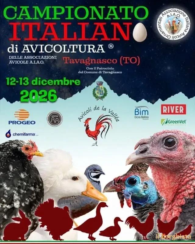 Locandina Campionato Italiano di Avicoltura 2026 a Tavagnasco (Torino)